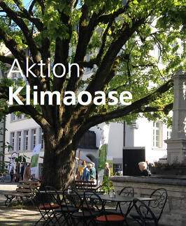 Bild Klimaoase Bild Klimaoase