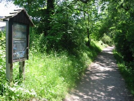 Naherholungsgebiet Aare Naherholungsgebiet Aare